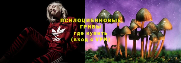mdpv Михайлов