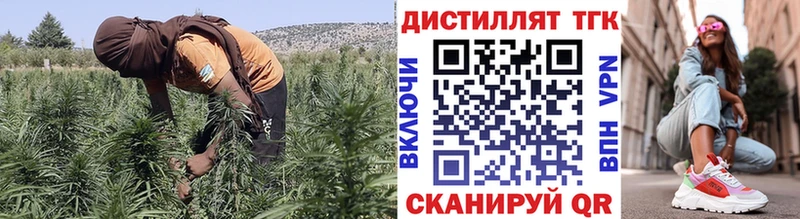 Купить закладки  Тихвин  Дистиллят ТГК концентрат 