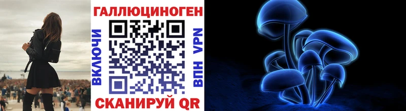Купить закладки  Тихвин  Псилоцибиновые грибы прущие грибы 