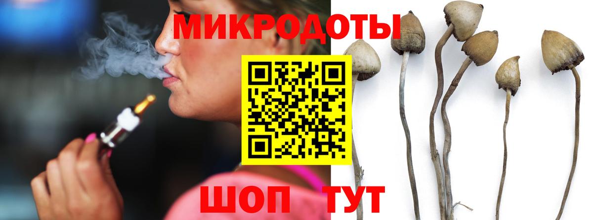 Псилоцибиновые грибы Magic Shrooms Тихвин