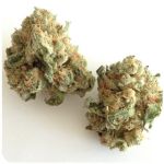 Шишки "White Widow"  (Белая вдова)  Гидропоника -  Бошка VHQ в Тихвине